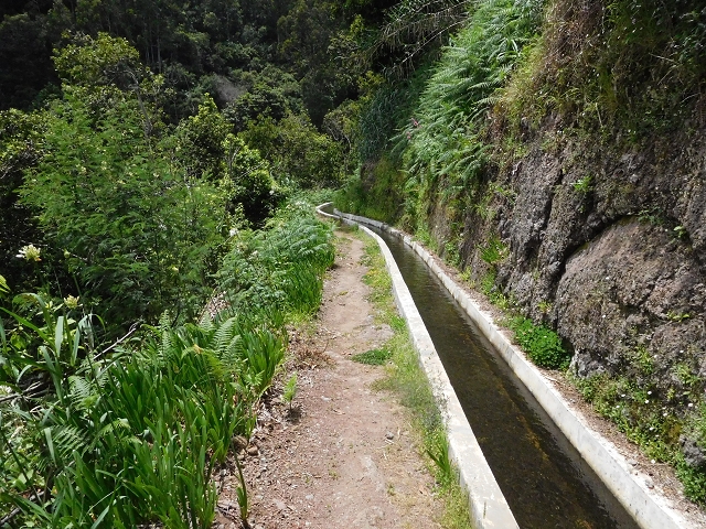 24.06.2016 Levada Nova — Abstieg und östliche Bachpassage — Foto 26