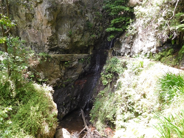 24.06.2016 Levada Nova — Westliche Bachpassage — Foto 2