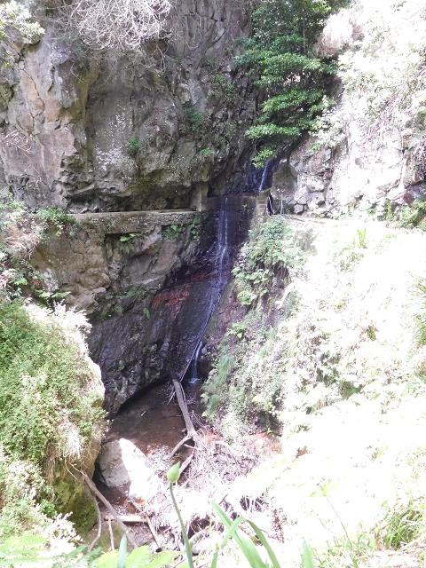 24.06.2016 Levada Nova — Westliche Bachpassage — Foto 3
