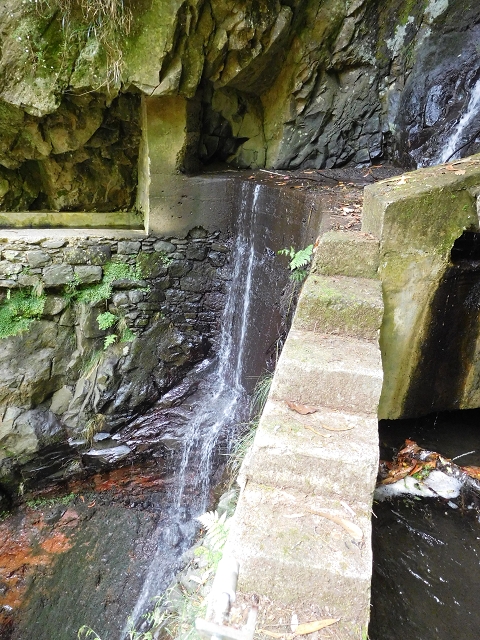 24.06.2016 Levada Nova — Westliche Bachpassage — Foto 7