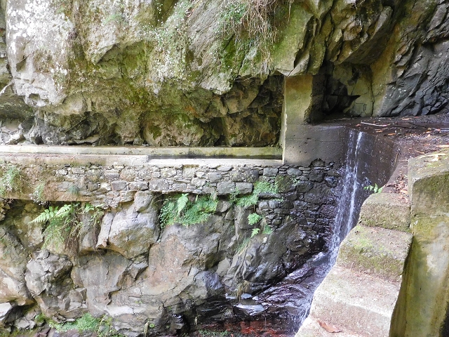 24.06.2016 Levada Nova — Westliche Bachpassage — Foto 8