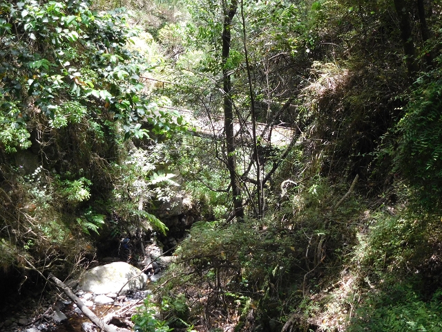 24.06.2016 Levada Nova — Westliche Bachpassage — Foto 9
