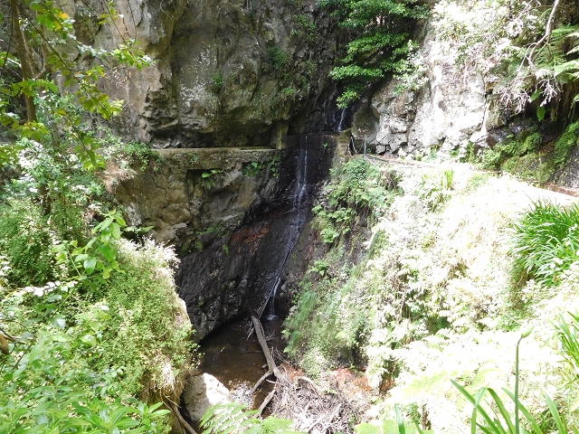 24.06.2016 Levada Nova — Westliche Bachpassage — Foto 10