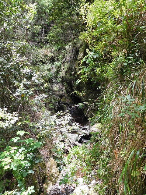 24.06.2016 Levada Nova — Westliche Bachpassage — Foto 11