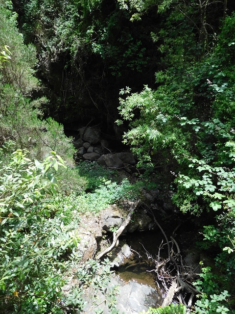 24.06.2016 Levada Nova — Westliche Bachpassage — Foto 12