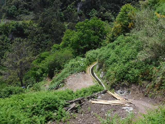 24.06.2016 Levada Nova — Abstieg und östliche Bachpassage — Foto 4