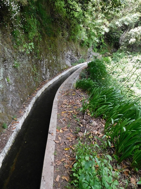 24.06.2016 Levada Nova — Westliche Bachpassage — Foto 14