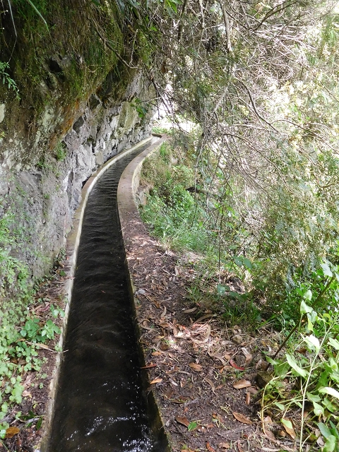 24.06.2016 Levada Nova — Westliche Bachpassage — Foto 15