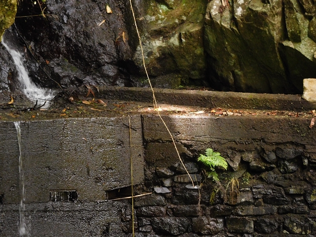 24.06.2016 Levada Nova — Westliche Bachpassage — Foto 16