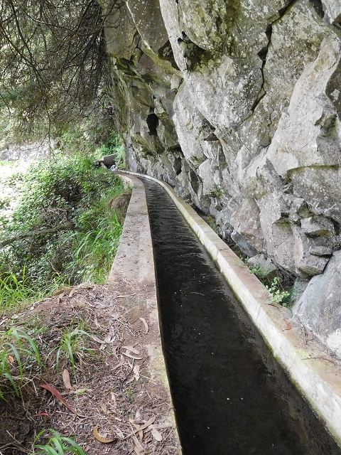 24.06.2016 Levada Nova — Westliche Bachpassage — Foto 18