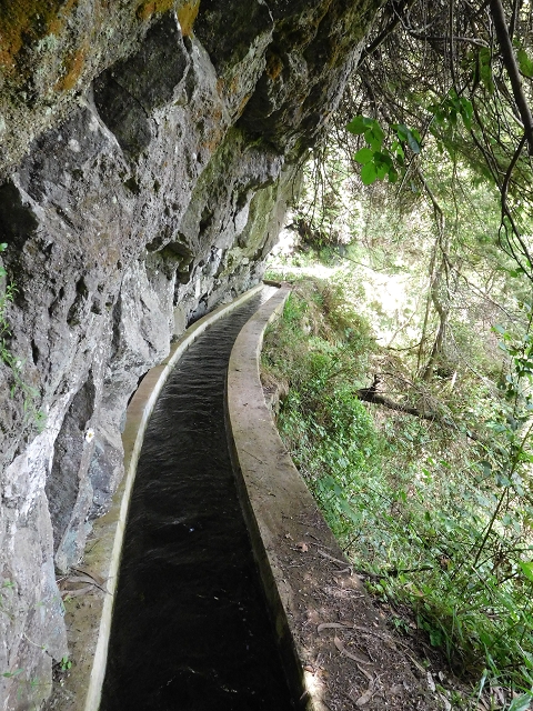 24.06.2016 Levada Nova — Westliche Bachpassage — Foto 19