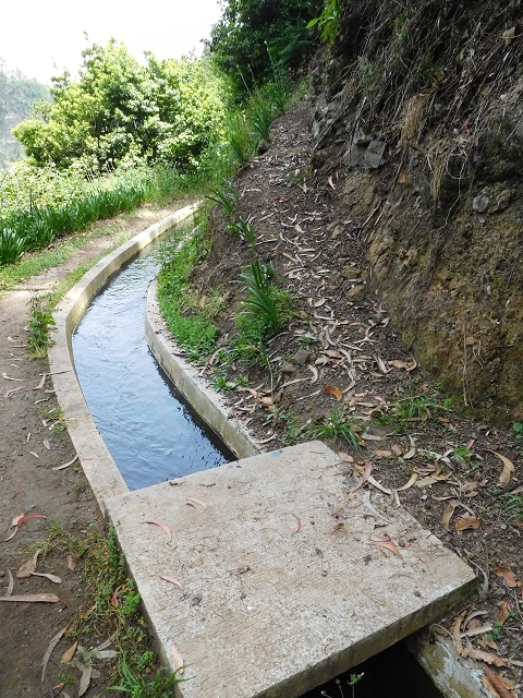 24.06.2016 Levada Nova — Westliche Bachpassage — Foto 20