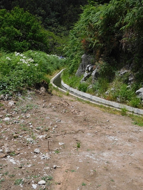 24.06.2016 Levada Nova — Abstieg und östliche Bachpassage — Foto 5