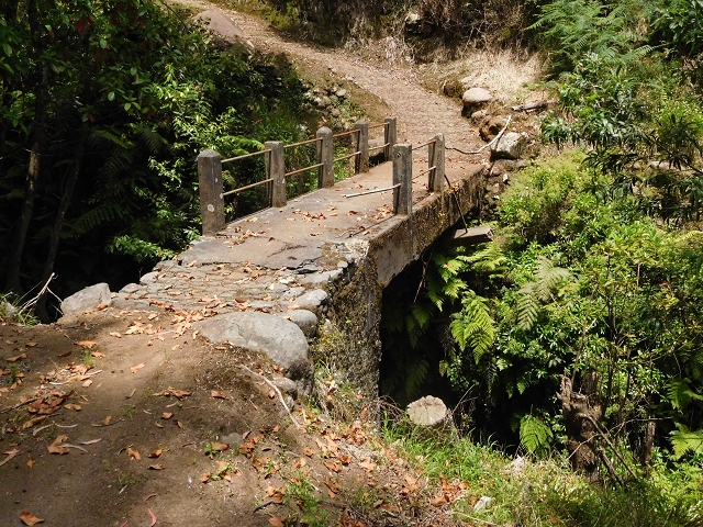 24.06.2016 Levada Nova — Westliche Bachpassage — Foto 24