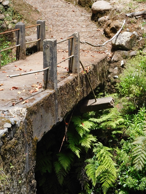 24.06.2016 Levada Nova — Westliche Bachpassage — Foto 25