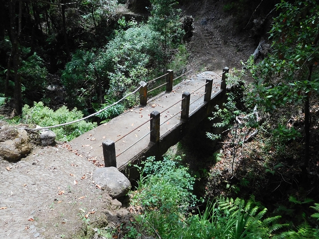 24.06.2016 Levada Nova — Westliche Bachpassage — Foto 26