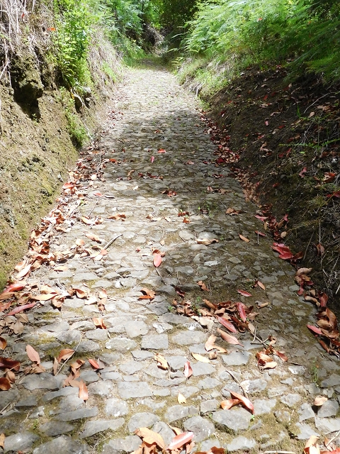 24.06.2016 Levada Nova — Westliche Bachpassage — Foto 27