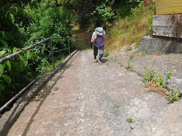 24.06.2016 Levada Nova — Westliche Bachpassage — Foto 28