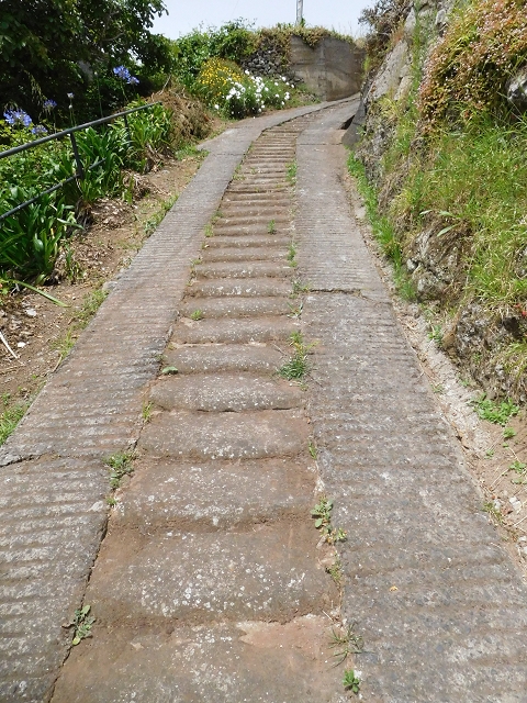 24.06.2016 Levada Nova — Westliche Bachpassage — Foto 29
