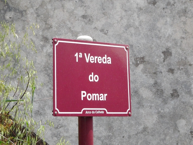 24.06.2016 Levada Nova — Westliche Bachpassage — Foto 31