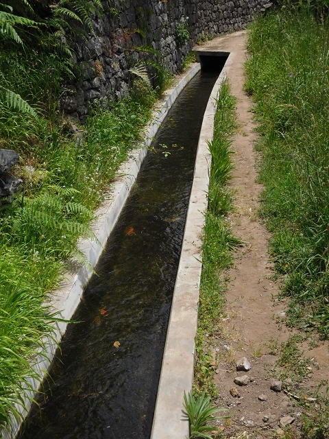 24.06.2016 Levada Nova — Abstieg und östliche Bachpassage — Foto 6