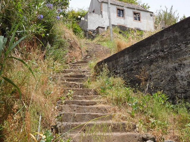 24.06.2016 Levada Nova — Abstieg und östliche Bachpassage — Foto 7