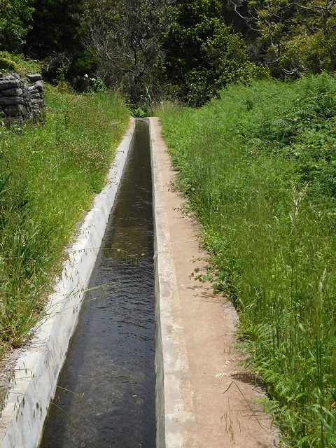 24.06.2016 Levada Nova — Abstieg und östliche Bachpassage — Foto 8