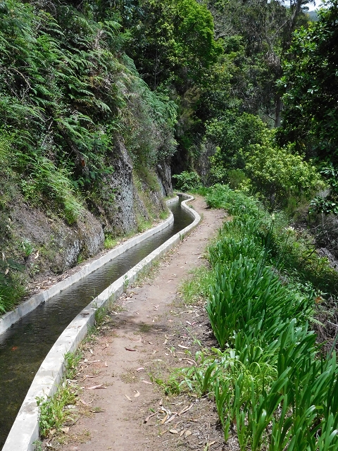 24.06.2016 Levada Nova — Abstieg und östliche Bachpassage — Foto 9