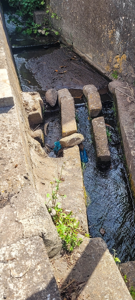 24 de junho de 2022 Cinco descobertas de levadas em torno de Canhas — Levada da Faja do Lombo de Piedade: cruzamento com o Caminho do Lombo da Piedade — foto 1
