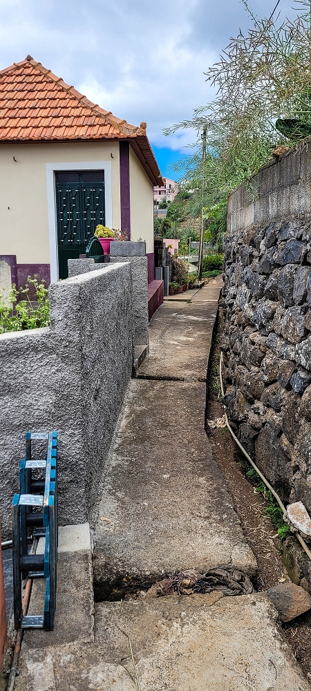 24 de junho de 2022 Cinco descobertas de levadas em torno de Canhas — Levada dos Castanheiros: ramo final — foto 1