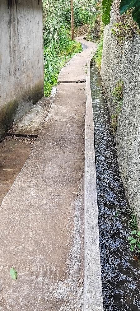 24 de junho de 2022 Cinco descobertas de levadas em torno de Canhas — Levada da Faja do Lombo de Piedade: ramo final até ao reservatório — foto 3