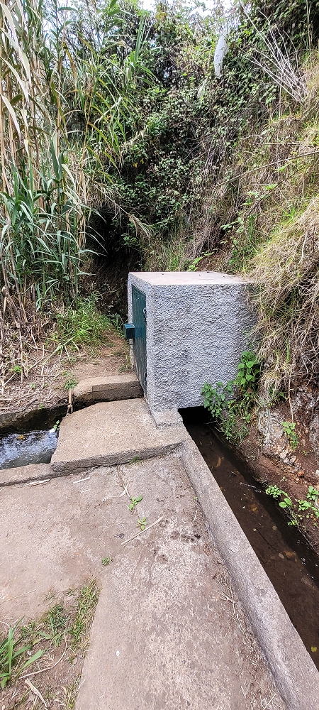 24 de junho de 2022 Cinco descobertas de levadas em torno de Canhas — Levada da Faja do Lombo de Piedade: ramo final até ao reservatório — foto 4
