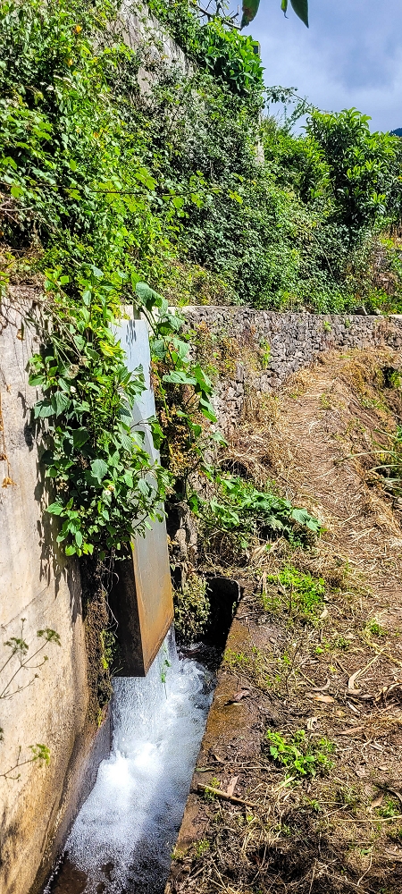 24 de junho de 2022 Cinco descobertas de levadas em torno de Canhas — Levada da Faja do Lombo de Piedade: até à Madre — foto 6