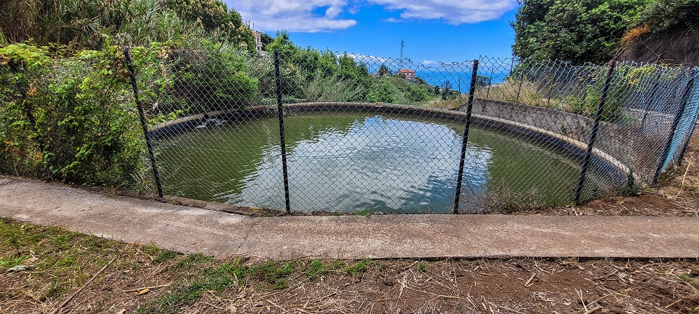 24 de junho de 2022 Cinco descobertas de levadas em torno de Canhas — Levada da Faja do Lombo de Piedade: ramo final até ao reservatório — foto 7