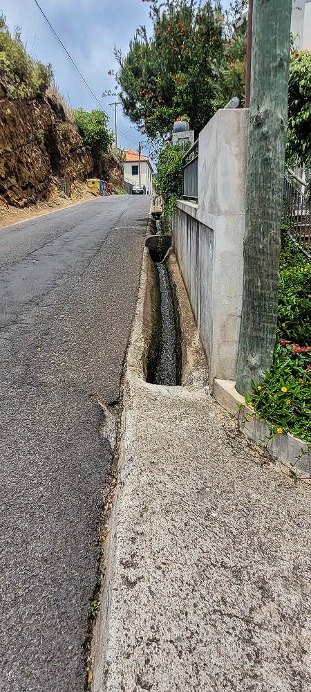 Levada da Terra Chã — O troço final ao longo do Caminho do Piquinho — foto 4