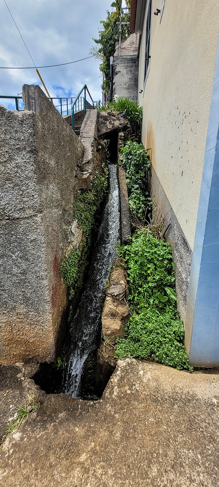 Levada da Terra Chã — Levada da Terra Chã: ao longo dos poços até ao Caminho do Piquinho — foto 11