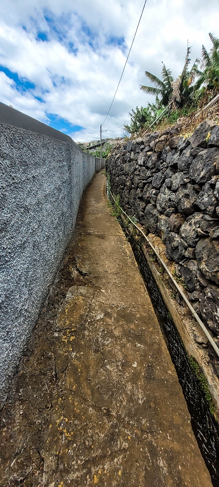 Levada da Terra Chã — Levada da Terra Chã: ao longo dos poços até ao Caminho do Piquinho — foto 8