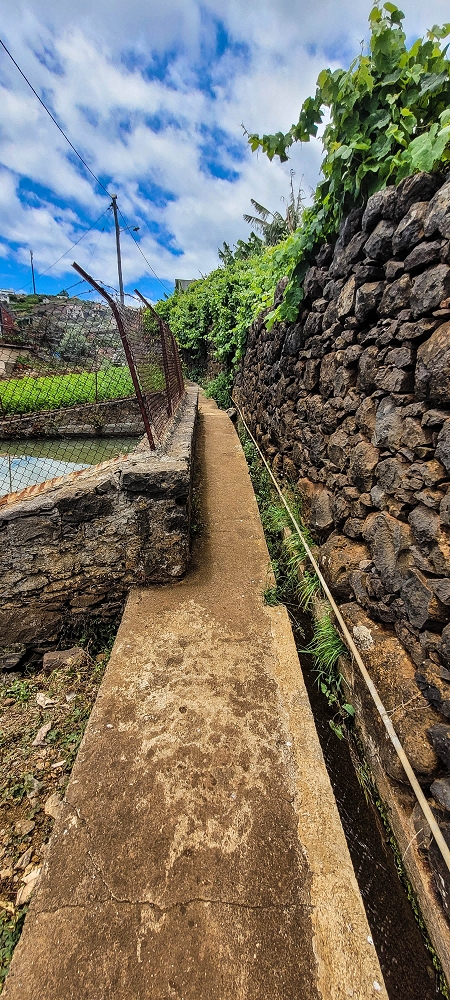 Levada da Terra Chã — Levada da Terra Chã: ao longo dos poços até ao Caminho do Piquinho — foto 6