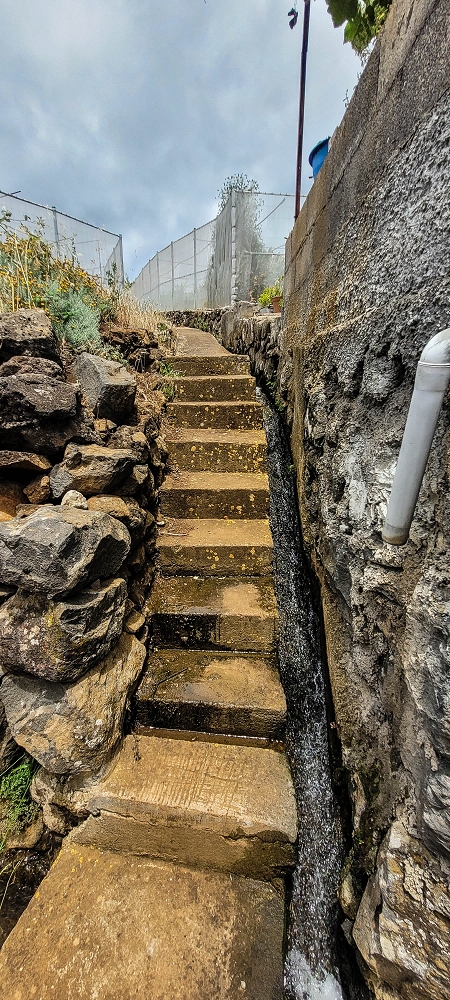 Levada da Terra Chã — Levada da Terra Chã: ao longo dos poços até ao Caminho do Piquinho — foto 5