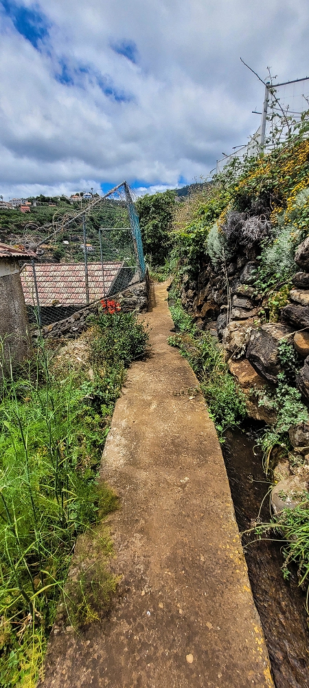 Levada da Terra Chã — Levada da Terra Chã: ao longo dos poços até ao Caminho do Piquinho — foto 4