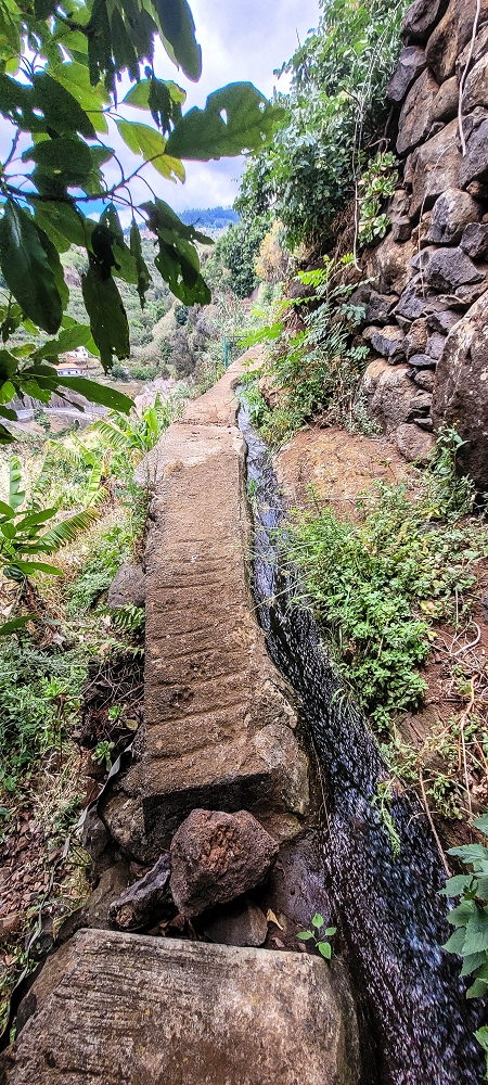 Levada da Terra Chã — Levada da Terra Chã: ao longo dos poços até ao Caminho do Piquinho — foto 3