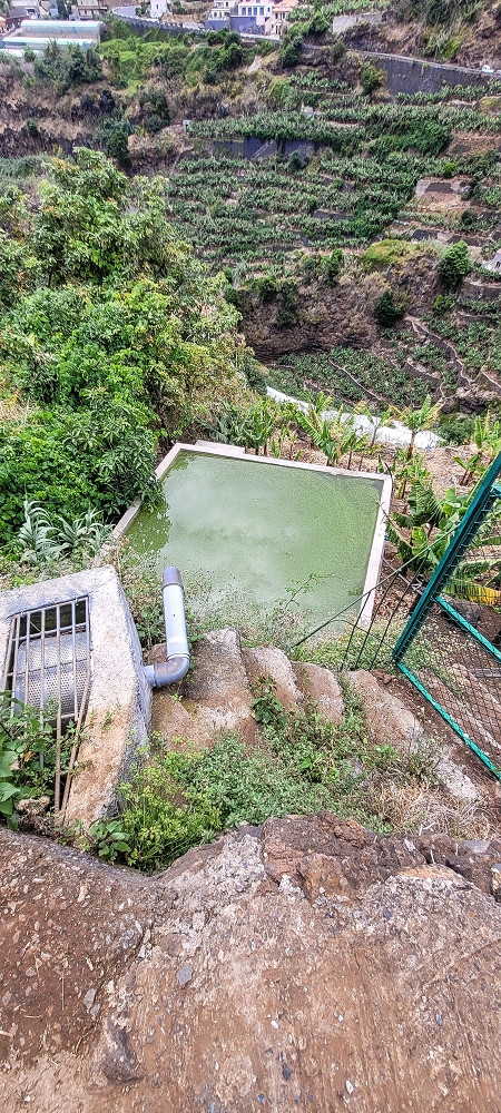 Levada da Terra Chã — Levada da Terra Chã: ao longo dos poços até ao Caminho do Piquinho — foto 1