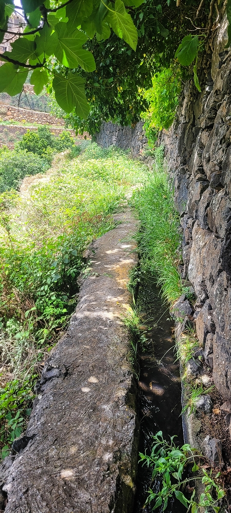 Levada da Terra Chã — Do Caminho de São João até à passagem exposta — foto 13