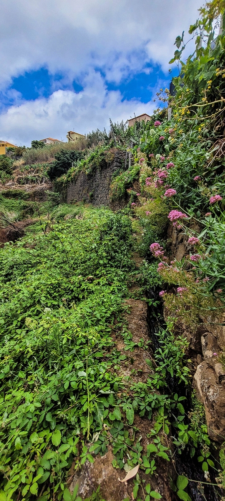Levada da Terra Chã — Do Caminho de São João até à passagem exposta — foto 10