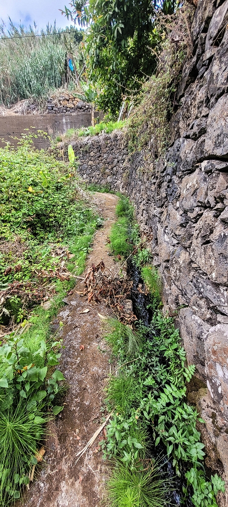Levada da Terra Chã — Do Caminho de São João até à passagem exposta — foto 8