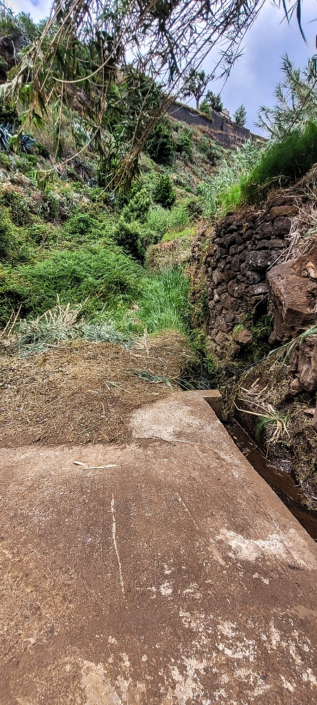 Levada da Terra Chã — Madre — foto 5