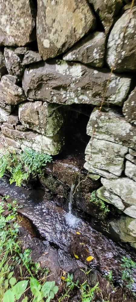 Levada da Terra Chã — Madre — foto 7