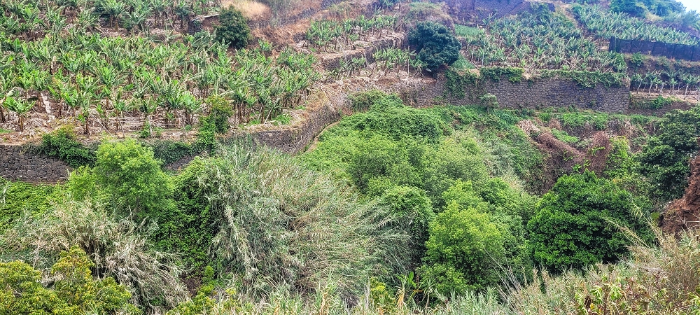 Levada da Terra Chã — Do Caminho de São João até à passagem exposta — foto 1