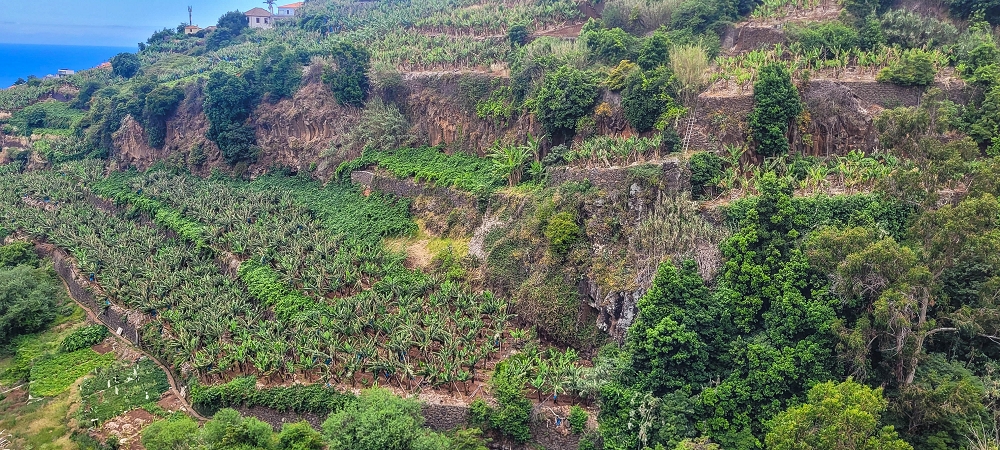 24 de junho de 2022 Cinco descobertas de levadas em torno de Canhas — Primeira vista de cima sobre a Levada das Voltinhas — foto 1