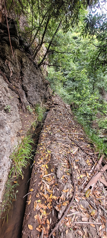 Levada das Voltinhas — Zufluss von der Madre — Foto 1